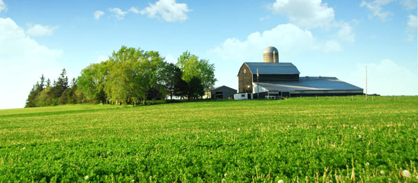 Malt Products Corporation